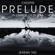 24 Preludes, Op. 28: IV. Largo in E Minor