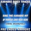Karaoke Quick Tracks : If You're Not The One (karaoke Version)