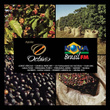 Cafe Octavio - Nova Brasil Fm