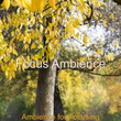 Ambience for Focusing