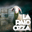 Lapaloozza