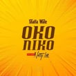Oko Niko