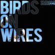 Birds On Wires
