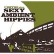 17 Hippies Play Sexy Ambient Hippies