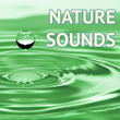Nature Sounds - Powerful Relaxing Sound of Nature Music to Help Meditate & Sleep