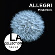 Allegri: Miserere