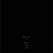Would I Wait for You