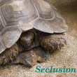 Seclusion