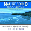 Big Sur Seaside Morning - 1 Hour Long Continuous