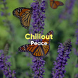 # Chillout Peace