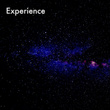 Experience