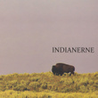 Indianerne