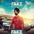 Fake (Gopi Sandhu)