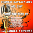 Country Karaoke Hits, Vol. 109