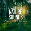 Nature Sounds: Ambient Outdoors