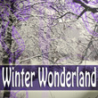 Winter Wonderland
