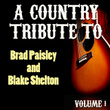 A Country Tribute To Brad Paisley And Blake Shelton Vol. 1