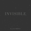 Invisible