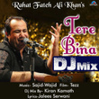 Tere Bina (DJ Mix) [From "Tezz"]
