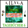 Tagebücher 6 (Etwas Persönliches, Etwas vom Lügen.)