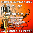 Country Karaoke Hits, Vol. 190