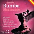 Spanish Rumba Flamenca. Vol 12