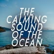 The Calming Sound of the Ocean