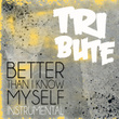 Better Than I Know Myself (adam Lambert Instrumental Tribute) - Single