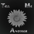 Tell Me Another (feat. Rockit)