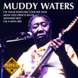 Muddy Waters