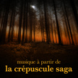 Musique à Partir De La Crépuscule Saga