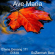 Ave Maria, D. 839 "Ellens Gesang III"