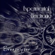 Experimental Electronic