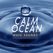 Calm Ocean Wave Sounds