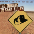 Nothing But Bluegrass: The Tribute To Gary Allan Performed By The Sidekicks