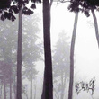 1st Demo (Special Edition)