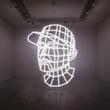 Reconstructed : The Best Of Dj Shadow