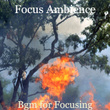 Bgm for Focusing