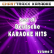 Best Of Deutsche Karaoke Hits, Vol. 2
