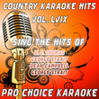 Country Karaoke Hits, Vol. 59