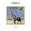 Africa (live)