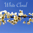White Cloud
