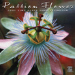 Passion Flower - Zoot Sims Plays Duke Ellington