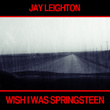 Wish I Was Springsteen - Single