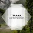 # Tranquil Contemplation