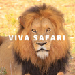 Viva Safari