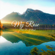 My Rose