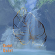 # 1 Album: Quiet Quiet