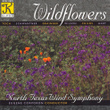 North Texas Wind Symphony: Wildflowers