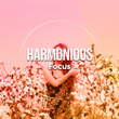 # 1 Album: Harmonious Focus